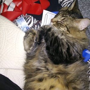 Meet your Posher, Tanya